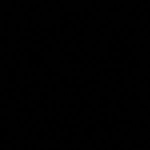 Meet your Posher, Martha